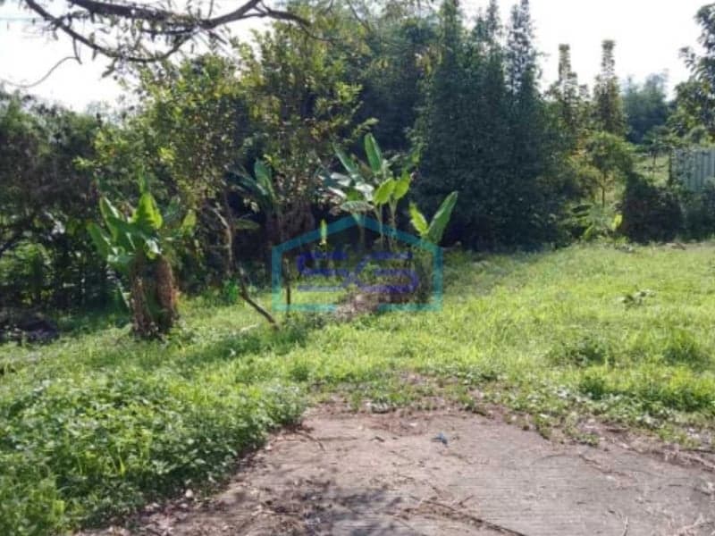 Dijual Tanah Kavling Strategis Luas Murah di Mainroad Bandung Barat Padalarang Luas Tanah 3815m²