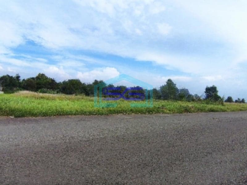 Dijual Tanah Diarea Industri Dawuan Cikampek Luas Tanah  230000 m²