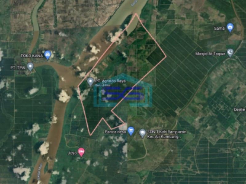 Dijual Lahan Kebun Karet Teluk Tenggirik Banyuasin Sumatera Selatan LT 85 Ha