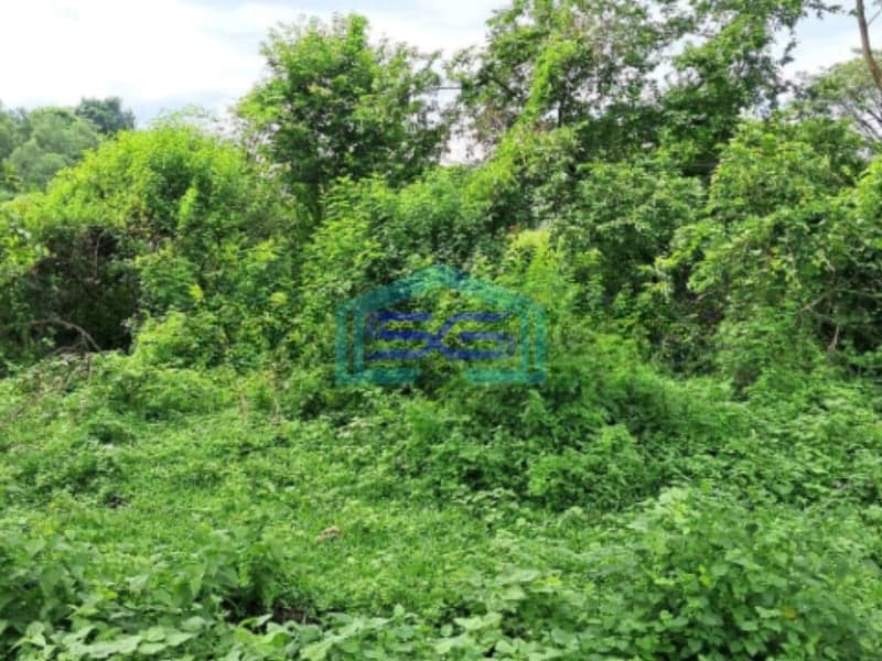 Dijual Cepat Tanah Kavling Industri Delta Silicon Cikarang Luas Tanah 5951m2