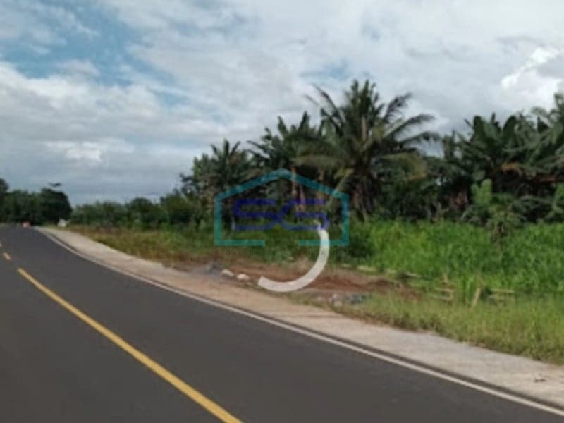 Dijual Tanah Luas 250.000 m² di Ring Road 3 Kalasey, Manado Sulawesi Utara