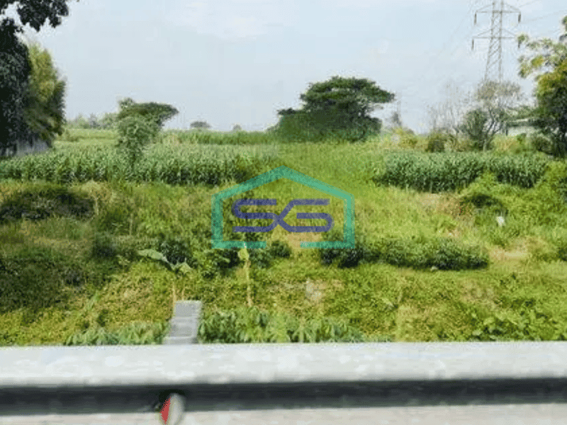 Dijual tanah pertanian di Kediri
