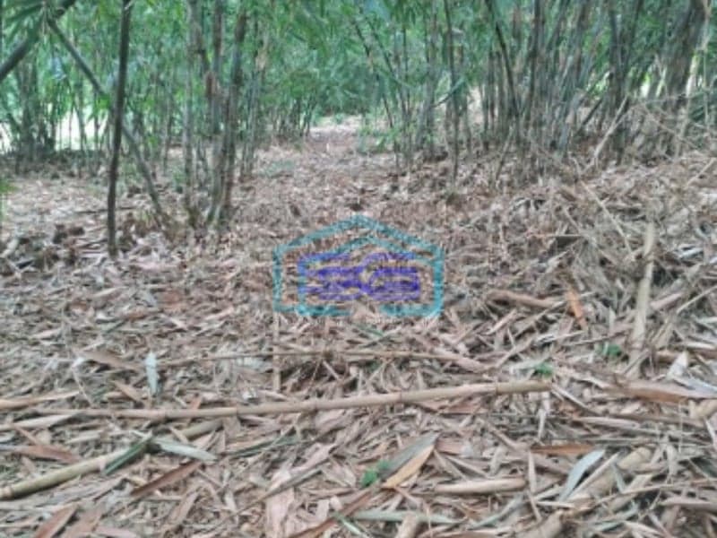 Dijual Tanah Strategis di Daerah Mekarsari Rumpin Bogor Luas Tanah 2800m2