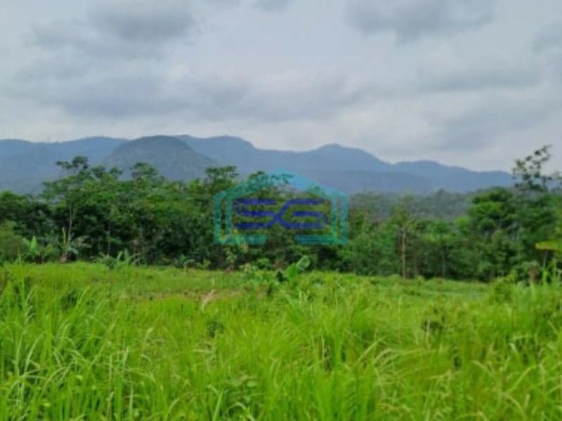 Dijual Tanah Leuwiang Lewisadeng Bogor Luas Tanah 120000m2