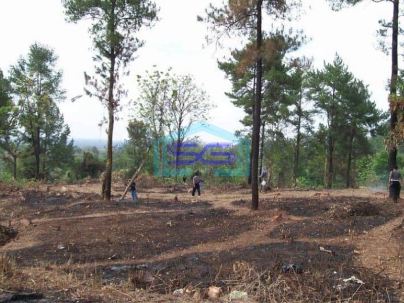 Dijual Tanah Murah Startegis Untuk Usaha di Pintu Masuk Kota Subang LT 24337m2