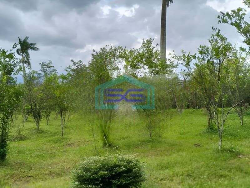 Dijual Tanah Luas 7320m2 SHM Lokasi di Pakisaji Malang