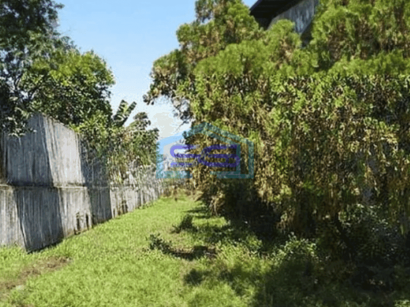 Dijual Tanah bonus Gudang Di Majalaya Karawang Luas Tanah 30000m2