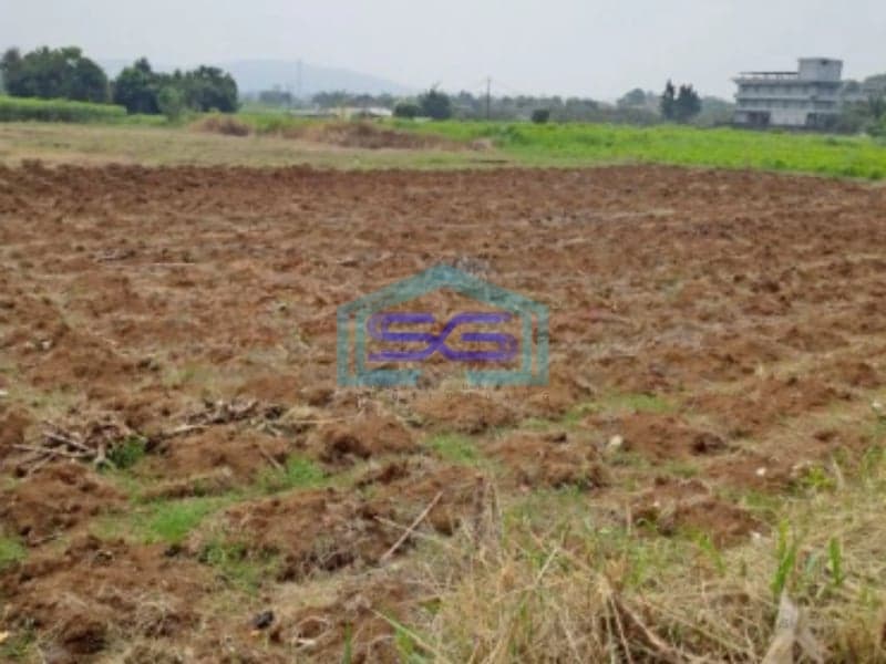 Dijual Tanah Jalan Atang Sanjaya Rancabungur Bogor Luas Tanah 90000m2