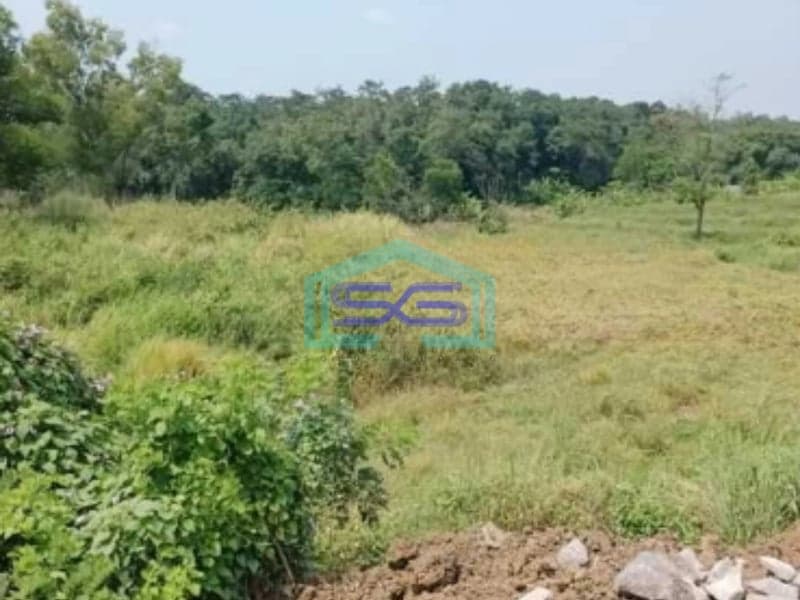 Dijual Tanah Siap Bangun Di Subang Jawa Barat Luas 200 Hektar