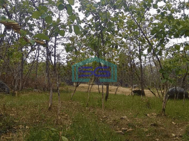 Dijual Tanah Tuban,Ds Prunggahan Kulon, Kec. Semanding, Tuban LT 4738m2