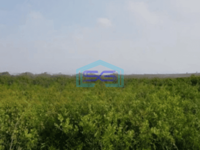 Dijual Tanah Luas 4647 m2 Lokasi Mragomulyo Surabaya