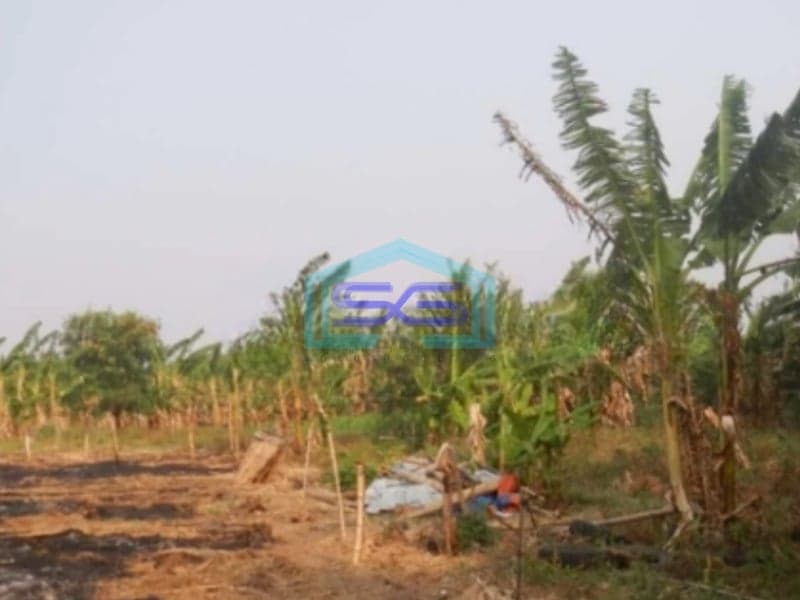 Dijual Tanah Kavling Komersil Untuk Usaha Di Cengkareng Jakarta Barat LT 16600m2