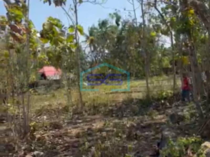 Dijual Tanah di Kuwangen Kidul, Pacarejo, Semanu, Gunung Kidul Yogyakarta LT 1431m2