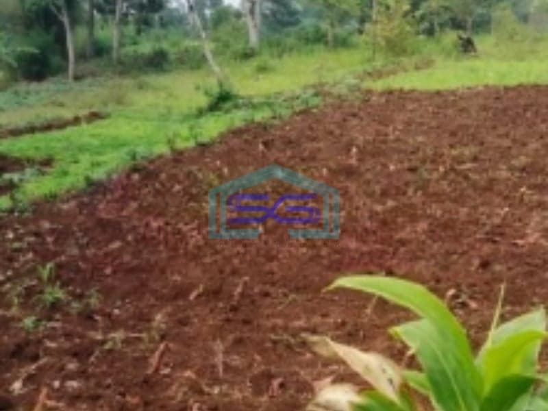 Dijual Tanah Pasir Angin Bogor Akses Mudah dan Jalan Lebar Dekat Pintu Tol Summarecon LT 14000m2