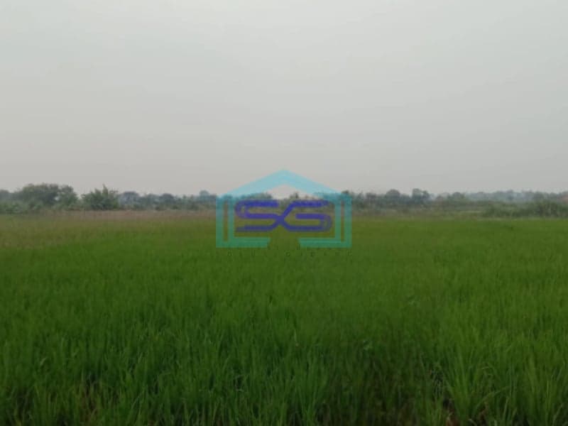 Dijual Cepat Tanah Sawah Cibarusah Jaya Cikarang Bekasi 3918m2