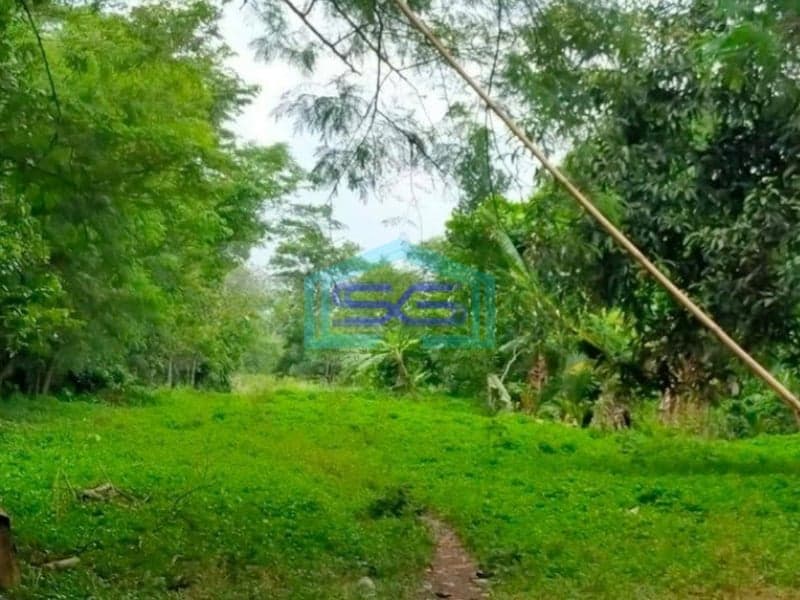 Dijual Tanah Luas 17 Ha di Desa Cangkudu Balaraja Tangerang