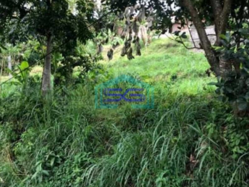 Dijual Murah Tanah Kavling Di Cipulus Cilengkrang Cibiru Bandung LT 1849m2