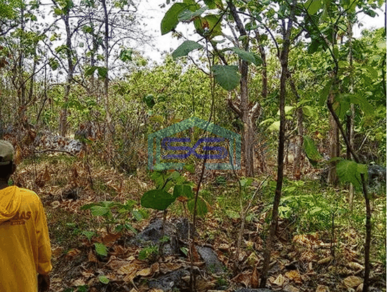 Dijual Tanah Tuban,Ds Prunggahan Kulon, Kec. Semanding, Tuban LT 4738m2