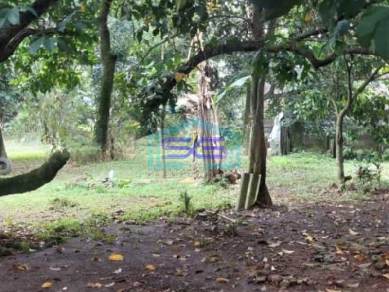 Dijual Tanah Bebas Banjir Luas  3810 m² Lokasi di Curug Tangerang
