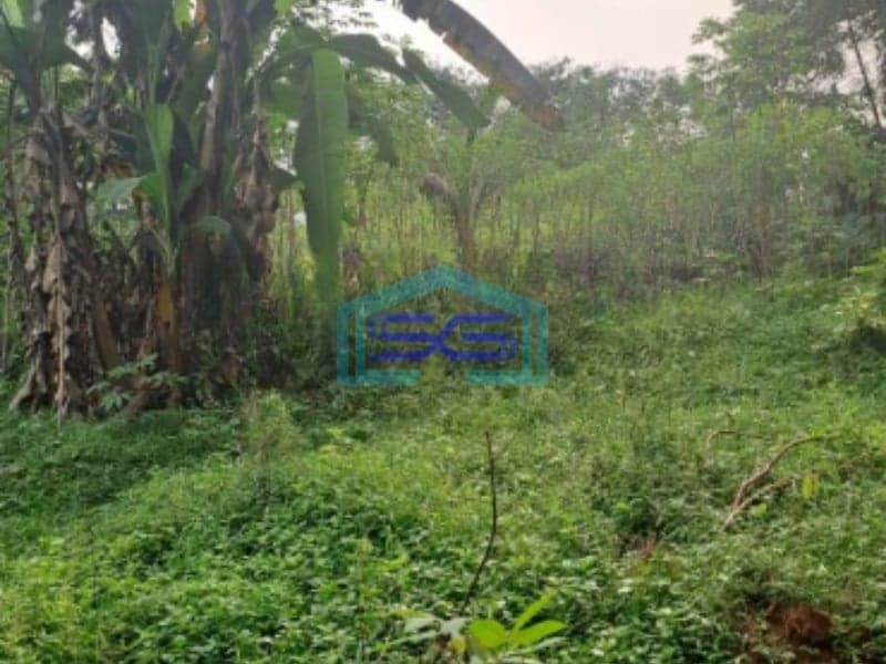 Dijual Tanah Mekar Sari Rumpin Bogor Luas 18000m2 Lokasi Bebas Banjir