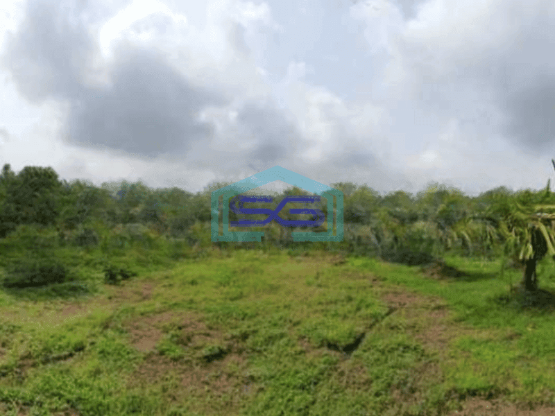 Dijual Tanah Luas 14837 m²di Kedungpring Lamongan Jawa Timur
