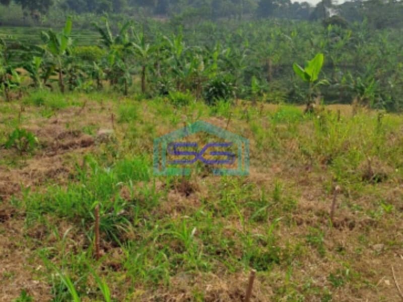 Dijual Tanah di Desa Cibadak Sukamakmur Bogor Jawa Barat LT 3000m2