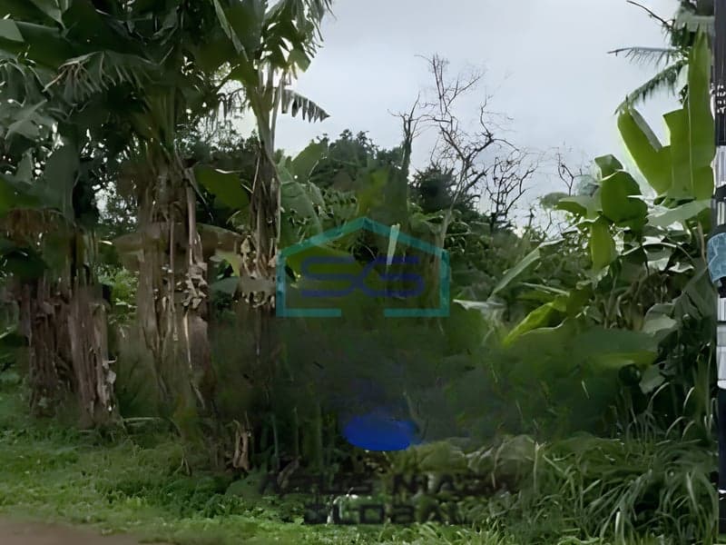Dijual Tanah Bebas Banjir Luas 2562 m² Lokasi di Ciater Tangerang