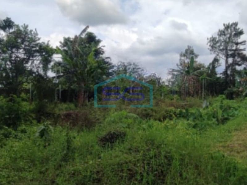 Dijual Tanah Cocok Untuk Usaha Pakem, Sleman Yogyakarta LT 7500m2