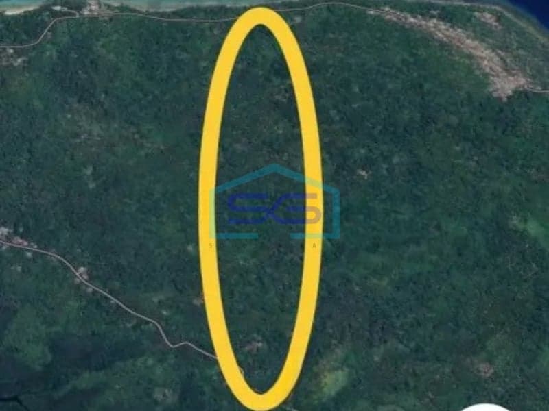 For Sale Land 3.5 ha In Likupang Barat North Minahasa North Sulawesi