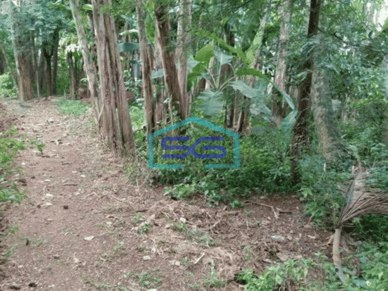 Dijual Tanah Cocok Gudang di Babat Legok Tangerang