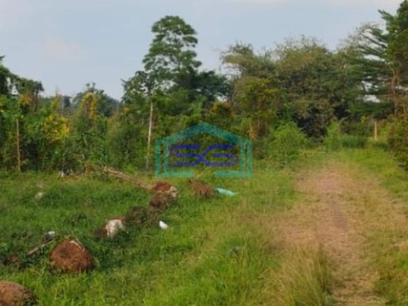 Dijual Tanah Lokasi Sangat Bagus Pinggir Jalan Utama Di Gunung Sindur Curug Bogor LT 8000m2