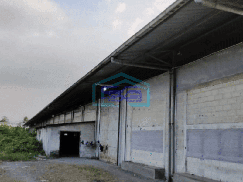 Dijual Gudang Siap Pakai Lokasi Gunung Gangsir Jl wicaksono Beiji Pasuruan Luas Bangunan 57000 m²