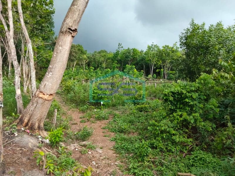 Dijual Tanah Strategis di Kab. Banyuasin, Sumatera Selatan Luas Tanah: 1 Hektar
