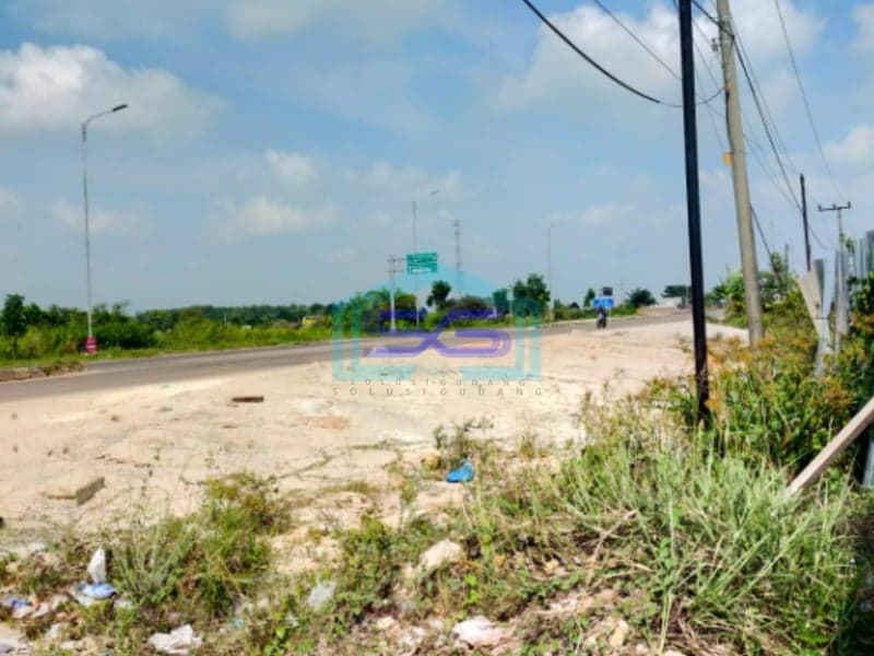 Disewakan Tanah Keras Siap Pakai di Jalan Lingkar Selatan, Lokasi Strategis Dekat Pintu Tol Sumatera Selatan