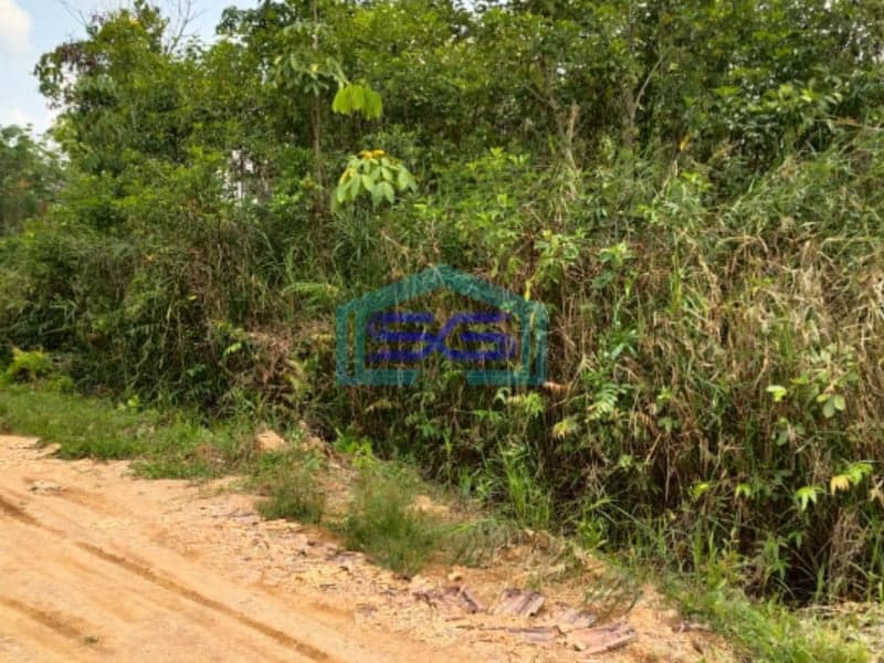 Dijual Tanah Luas Siap Bangun Talang Betutu Palembang Luas Tanah 2399m2