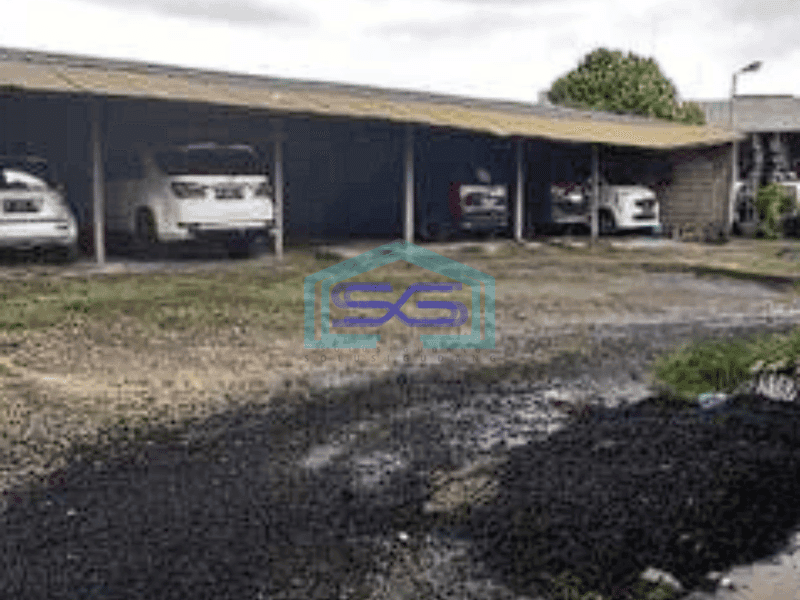Disewakan Tanah Padat View Sawah Tibubening Canggu Badung Bali LT 1860m2