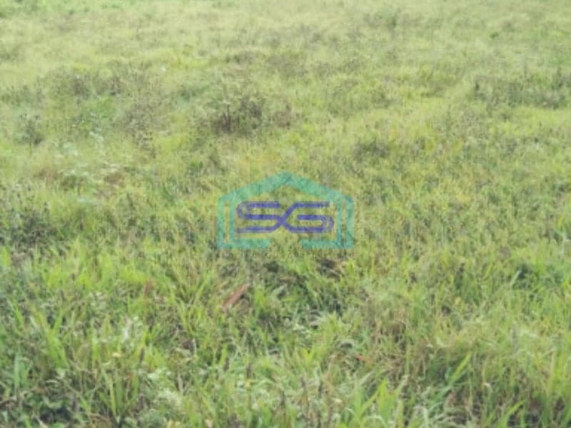 Dijual Tanah Murah Luas  4500 m² Lokasi Tangerang