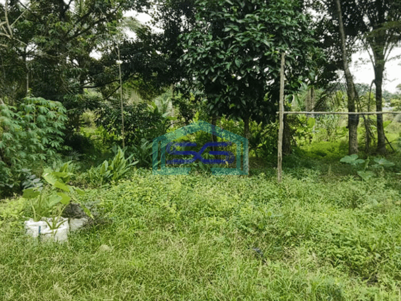 Dijual Tanah Jalan Padat Karya, Bukit Baru Palembang Luas 11382m2