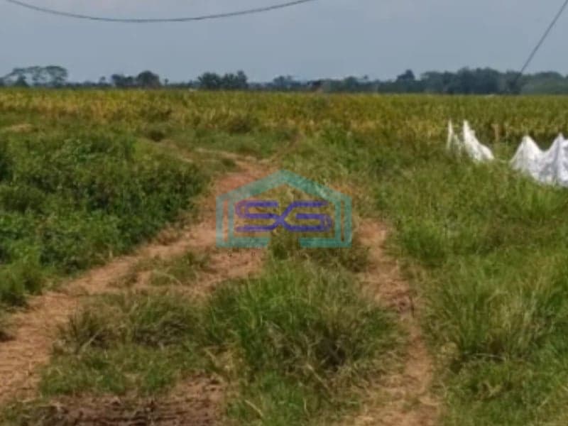 Dijual Cepat Tanah Industri di Subang Jawa Barat Luas 53000m2