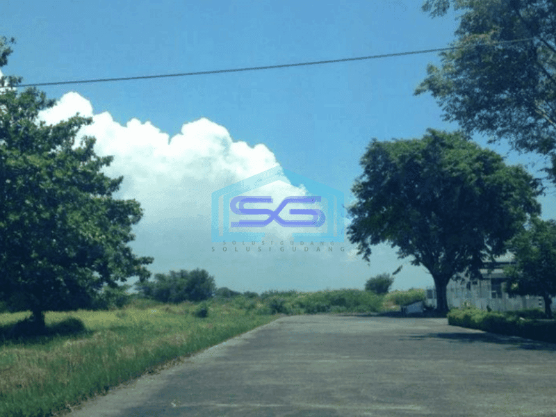Dijual Tanah Industri di Semarang Luas Tanah 250000m2