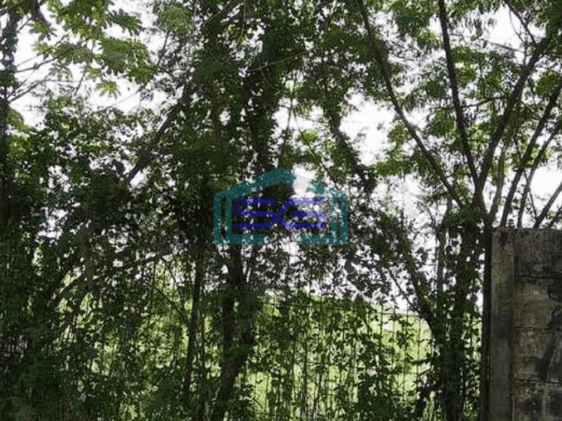 Dijual Tanah Bisa Masuk Kontainer, Izin Industri di Jatake Bitung Tangerang LT 14427m2