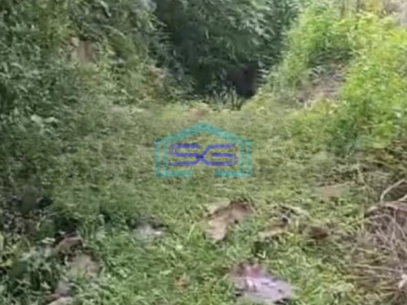 Dijual Tanah Lokasi Strategis Luas 150000 m² di Solo Jawa Tengah