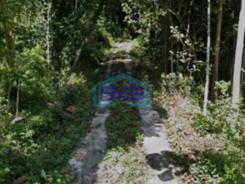 Dijual Tanah Pekarangan Lokasi Pengasih Yogyakarta Luas Tanah 50000m2
