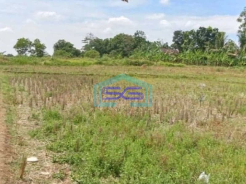 Dijual Tanah Kavling Industri di Subang Jawa Barat Pinggir Jalan Raya LT 300 Ha