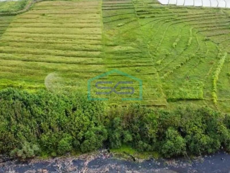 巴厘岛塔巴南出售土地 土地面积7900平方米