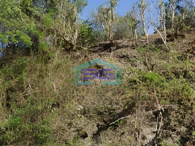 Dijual Tanah Luas 5200m2 Kawasan Premium Nusa Dua Badung Bali