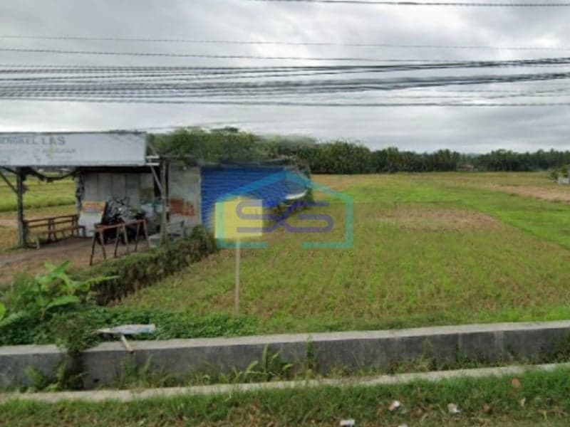 Dijual Tanah Dekat Bandara NYIA, Demen, Kulon Progo Yogyakarta