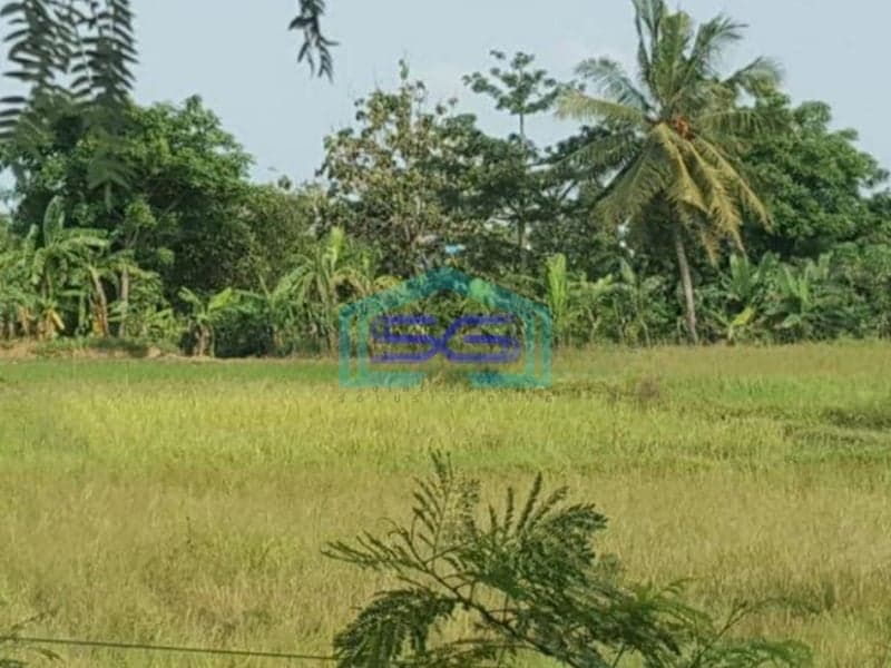 Dijual Tanah di Kareo Jawilan Cikande Serang Luas 9 Hektar Dipinggir Jalan Raya