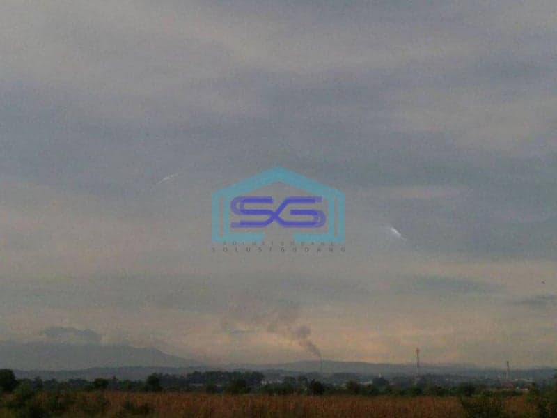 Dijual Tanah di Lingkar Kaliwungu Semarang Luas Tanah 5000m2