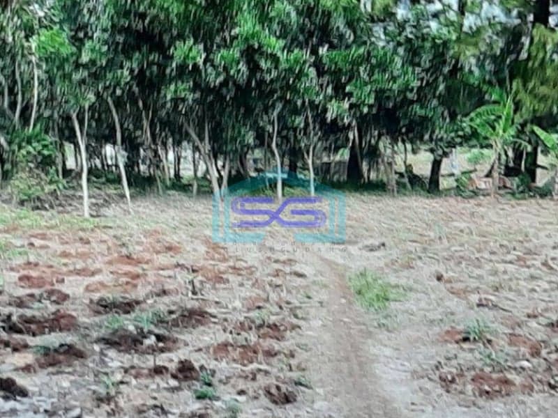 Dijual Tanah Di Bojong Gede Bogor Sangat Strategis LT 4361m2